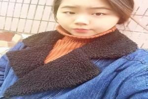 八年孤独作者:没有鱼蛋百度云txt